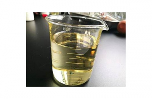 麻豆社区下载